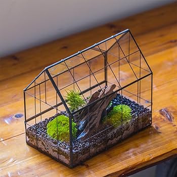 Amazon.com: NCYP Geometric Glass Terrarium with Front